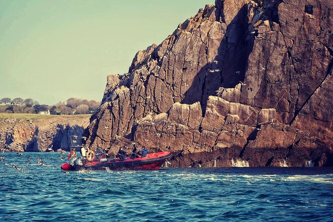 90 Minute Coastal Explorer in Torquay - Torquay Marina is an easy place to begin