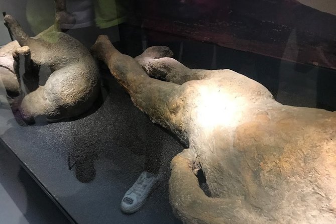 A Day at the Museum - Natural History Museum London - What the three-hour route can realistically cover