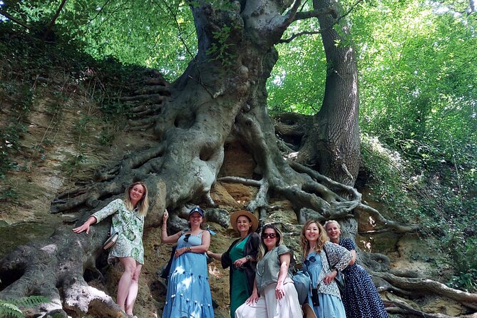 A Tour of Glastonbury, Guided by the Trees. - Why this Glastonbury walk feels different