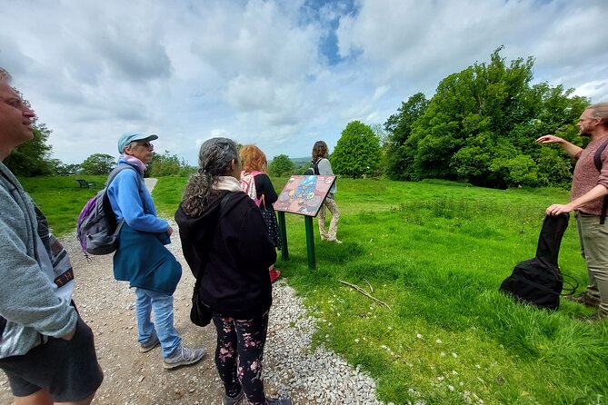 A Tour of Glastonbury, Guided by the Trees. - Springs, the White Spring, and Chalice Well