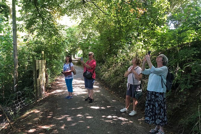 A Tour of Glastonbury, Guided by the Trees. - Adding Glastonbury Tor to the walk