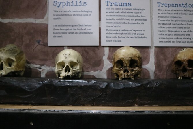 Admission Ticket to Sick To Death in Chester - Is $11.05 Good Value for an Hour?