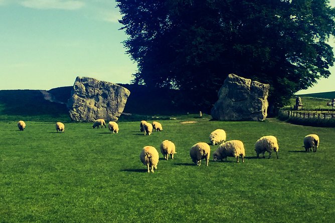 Ancient Wonders of Wessex Private Guided Tour - Who gets the best value
