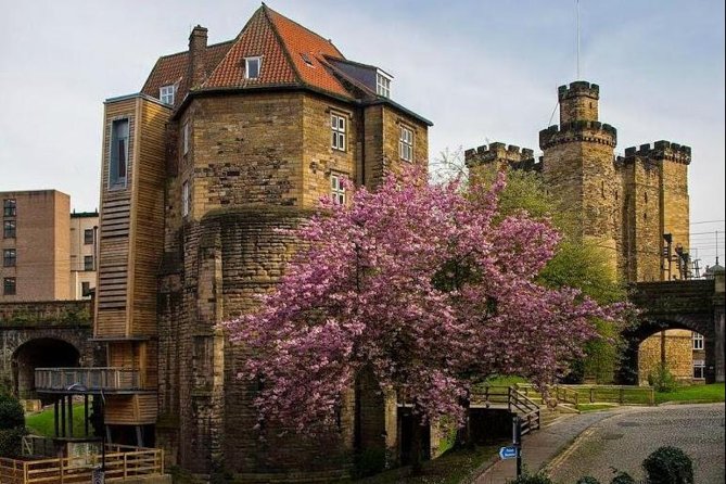 Annual Admission Newcastle Castle Ticket - Why Newcastle Castle is more than one stone tower