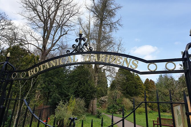 Bath - (4 hours) Extended Walking Tour - Blue Badge guide - No. 1 Royal Crescent and The Circus
