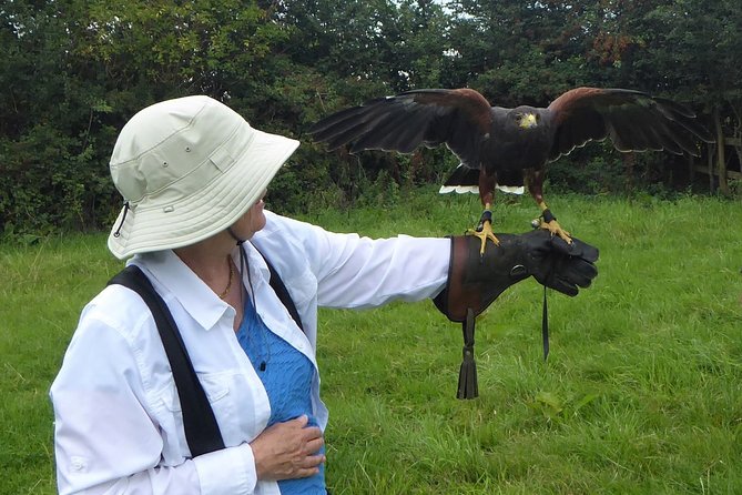 Bath City Tour & Fly a Hawk Experience - Day Tour from Bath - Starting Above Bath at 9:00 a.m.