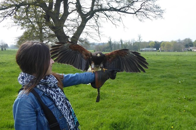 Bath City Tour & Fly a Hawk Experience - Day Tour from Bath - The Value of $359.87 Per Person