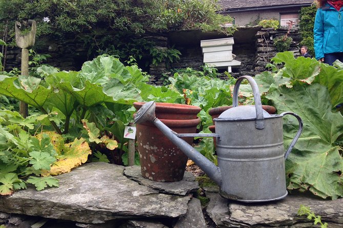Beatrix Potter's Half Day Lake District Tour Including Lake Cruise - Tarn Hows, a short view stop