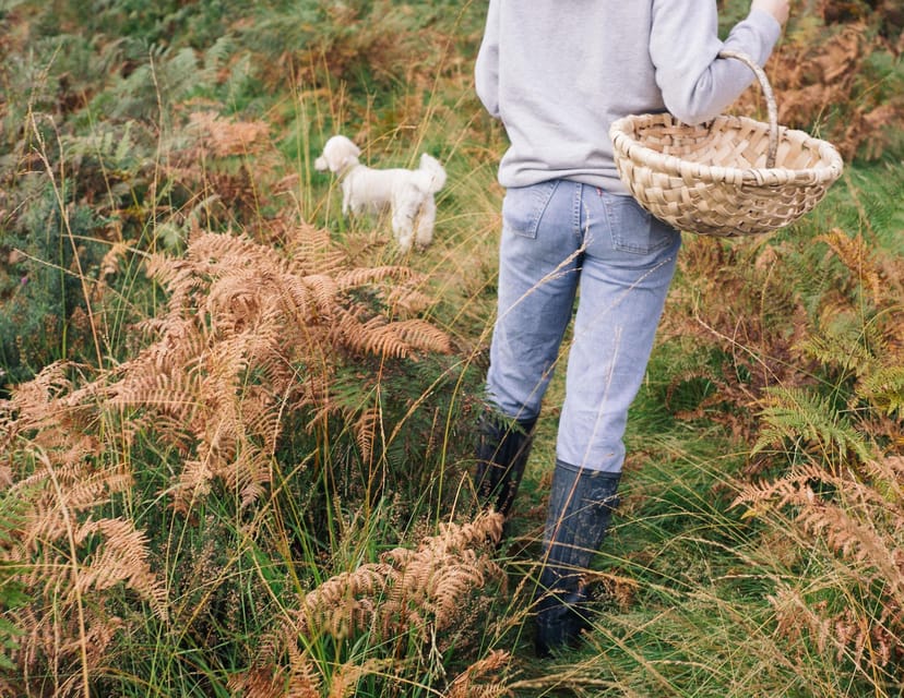 Beginner Foraging Walk: Wild food walking tour & tasters - A two-mile introduction to wild food