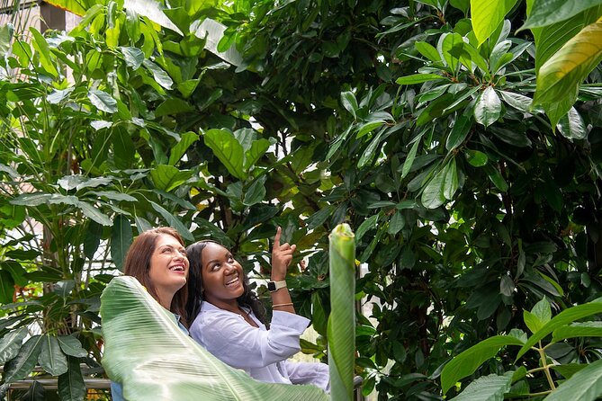 Bombay Sapphire Gin Distillery Tour and Cocktail - Is $30.51 good value for 90 minutes?