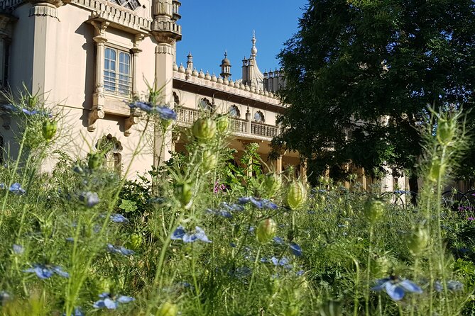 Brighton and White Cliffs private tour from London - The pace, physical effort, and real time available