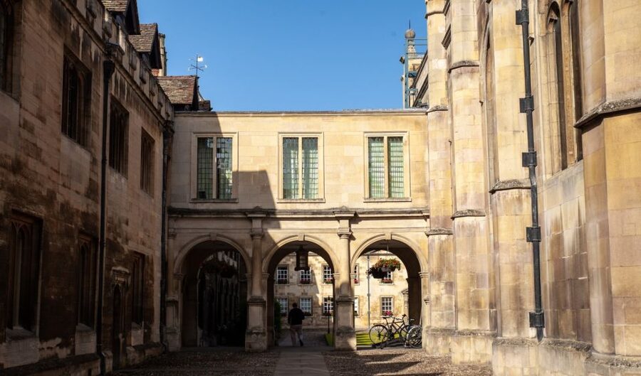 Cambridge: University Alumni Tour with Kings College Option - Who will enjoy this walk most?