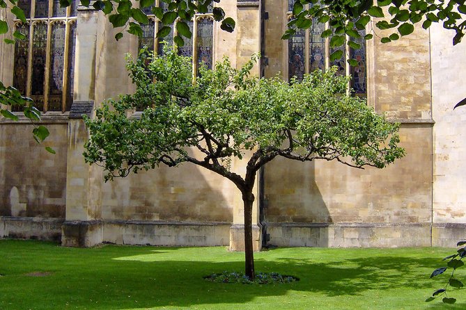 Cambridge University Walking Tour - Trinity College, Great St Mary’s, and Senate House