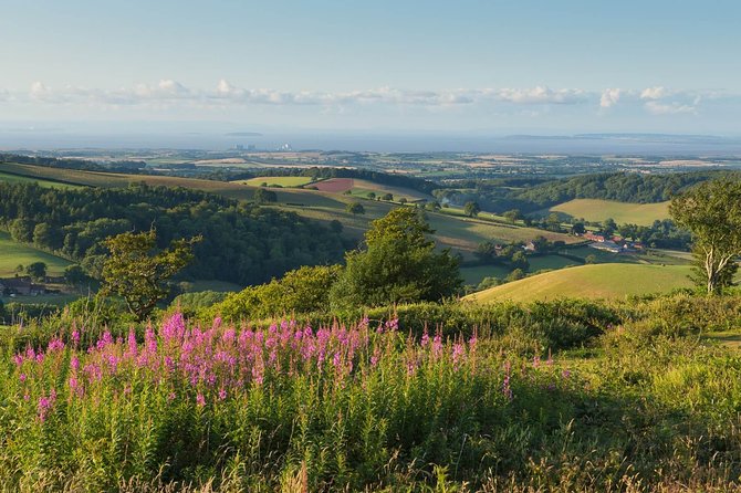 Canterbury & the White Cliffs of Dover Tour (Small-Group) - Who will enjoy this day trip?