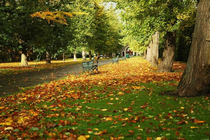 Cardiff Day Tour from London with Local Guide (Visit Wales) - The real cost of a 13-hour day