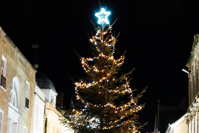 Christmas Mulled Wine Walk of Winchester - What the $20.57 price delivers