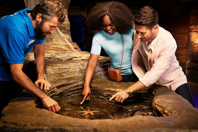 Combo Ticket: Madame Tussauds & SEA LIFE London Aquarium - Why the Order and Time Slots Matter
