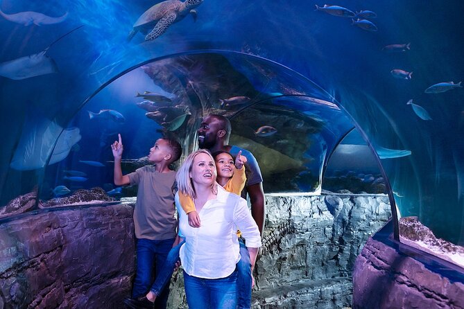 Combo Ticket: Madame Tussauds & SEA LIFE London Aquarium - My Recommendation for Your London Day