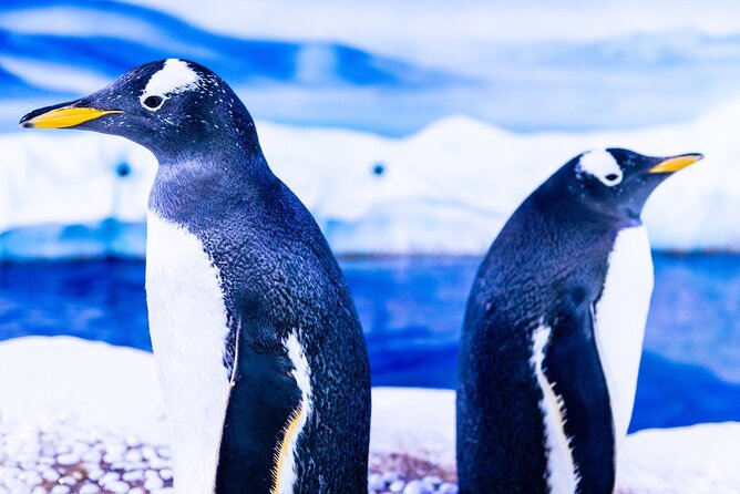 Combo Ticket: Madame Tussauds & SEA LIFE London Aquarium - Three Floors of Famous Faces at Madame Tussauds