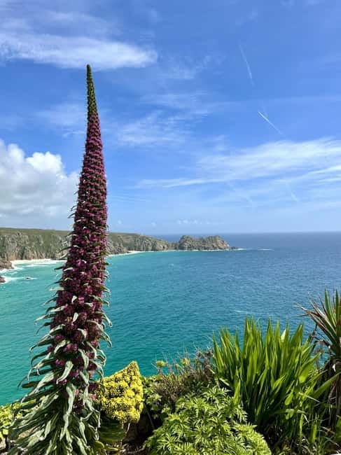 Cornwall: Private Guided Tour - Tin mines, engine houses, and Cornwall’s working past