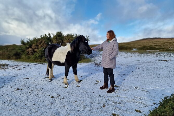 Dartmoor Tour - Key points to know before booking