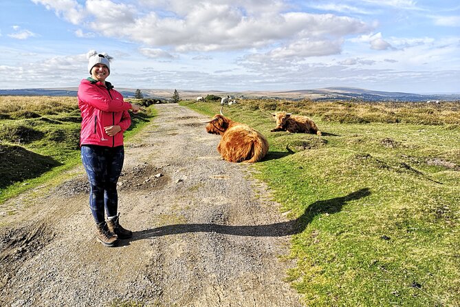 Dartmoor Tour - Haytor Vale and Dartmoor from above