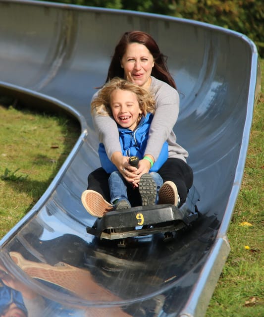 Devon: Watermouth Castle Entry - The hedge maze and mini golf slow the pace