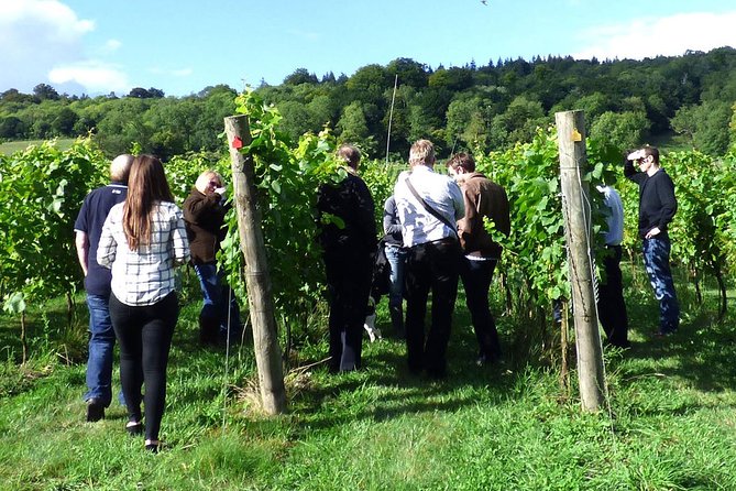 English Wine and Cheese Tour from London - The strongest praise points from the experience