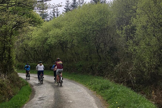 Explore North Cornwall on Electric Bikes - What the two to three hours are worth