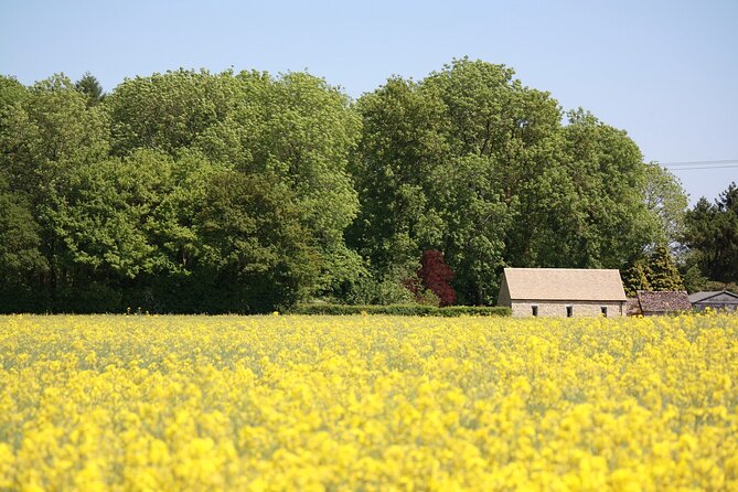 Explore the Cotswolds (Private Day Tour from London) - Why a private Cotswolds day from London makes sense