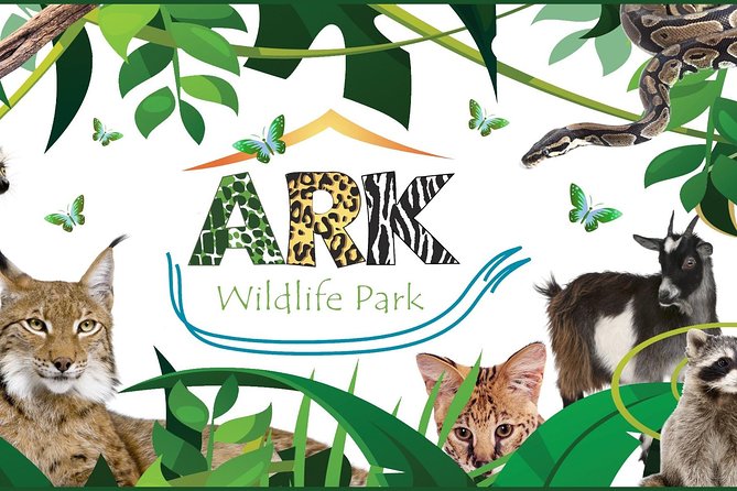 Fox Encounter for 2 people and park entry - Meeting the foxes at Ark Wildlife Park