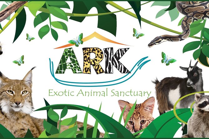 Fox Encounter for 2 people and park entry - Why a private activity matters