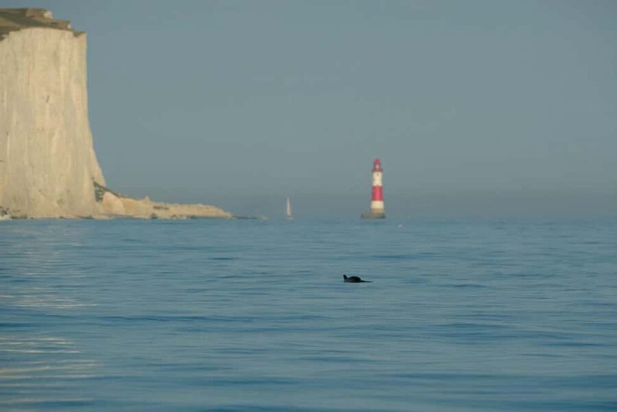From Brighton: Seven Sisters Boat Tour - Music, speed, and the ride home