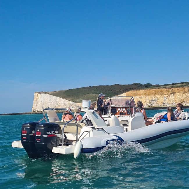 From Brighton: Seven Sisters Boat Tour - Wildlife watching along the cliffs