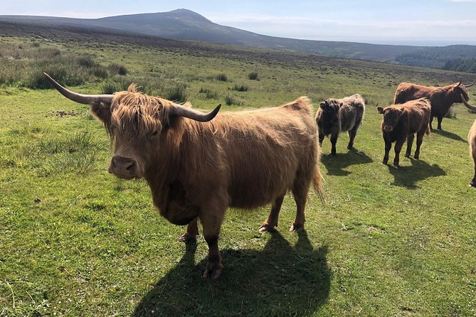 Full day Private Tour of the Isle of Man with experienced qualified driver guide - Ramsey offers a short look at the island’s north
