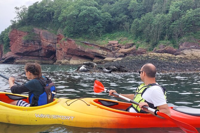 Guided Wildlife and Sea Cave Kayak Safari in English Riviera - How wet and strenuous is the experience?