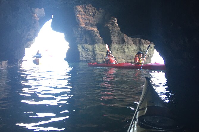 Guided Wildlife and Sea Cave Kayak Safari in English Riviera - Who will get the most from this Devon activity?