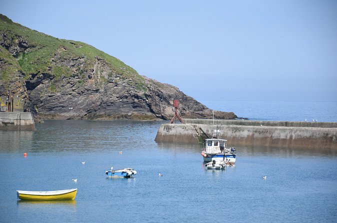 Half-Day Private Doc Martin and Fisherman's Friends Tour - Price and Value for Groups of Two to Four