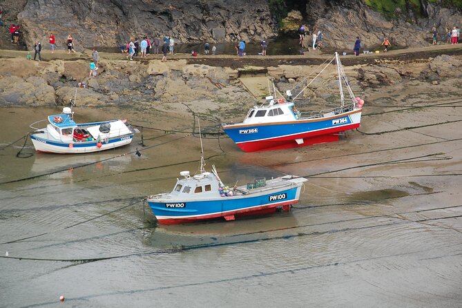 Half-Day Private Doc Martin and Fisherman's Friends Tour - Who Will Enjoy This Tour Most