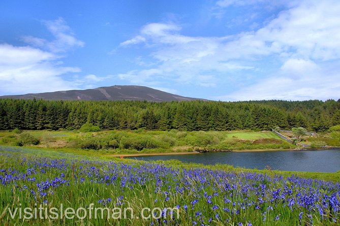 Half day private tours of the Isle of Man with a qualified Driver Guide - Private transport makes the day easier