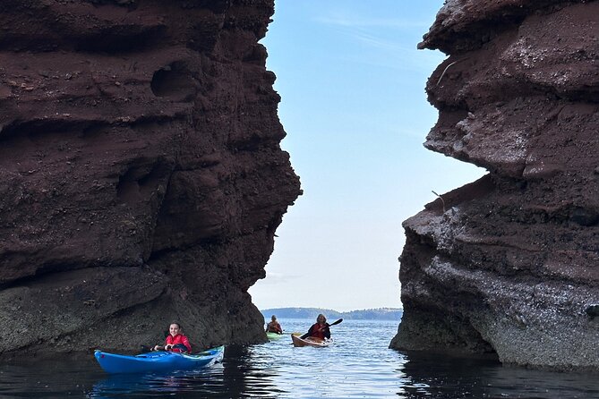 Half Day Sea kayak Guided Tour - The 30-Minute Beach Stop