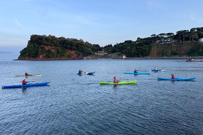 Half Day Sea kayak Guided Tour - Is $66.06 Good Value?