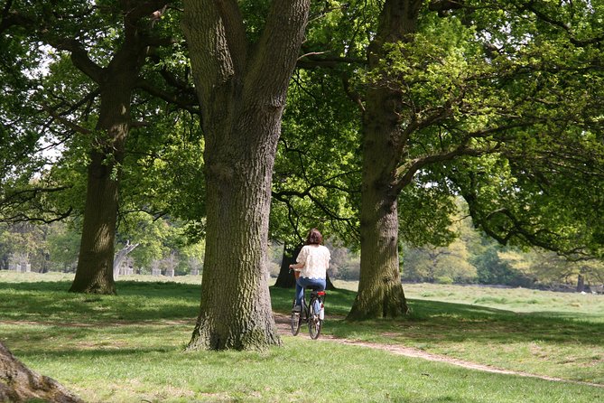 Hampton Court Palace Grounds Bike Tour - Seeing Hampton Court Palace without going inside
