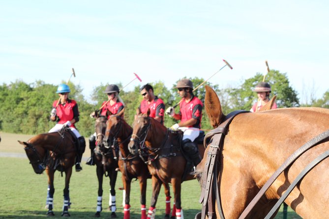 Horse & Polo in Windsor, UK - Key points at a glance