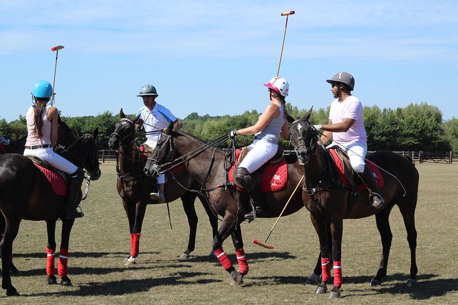 Horse & Polo in Windsor, UK - Arriving at the Windsor polo club
