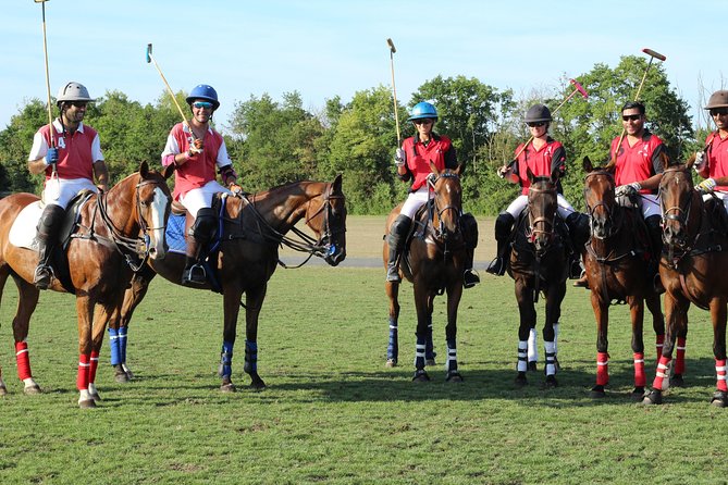 Horse & Polo in Windsor, UK - How the private format affects the price