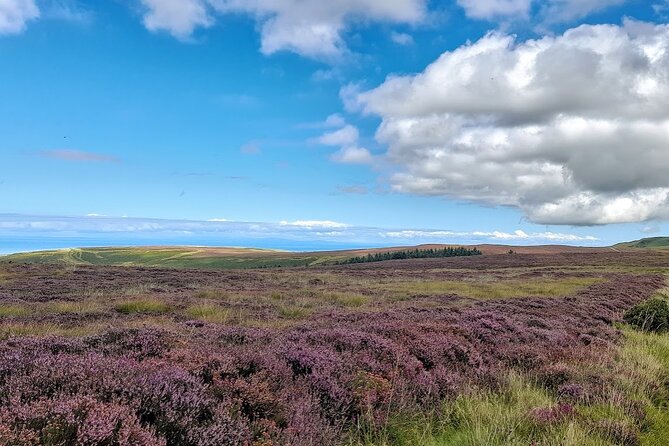 Isle of Man Discovery Tour with experienced Driver Guide - Maughold and the island’s Celtic and Viking past