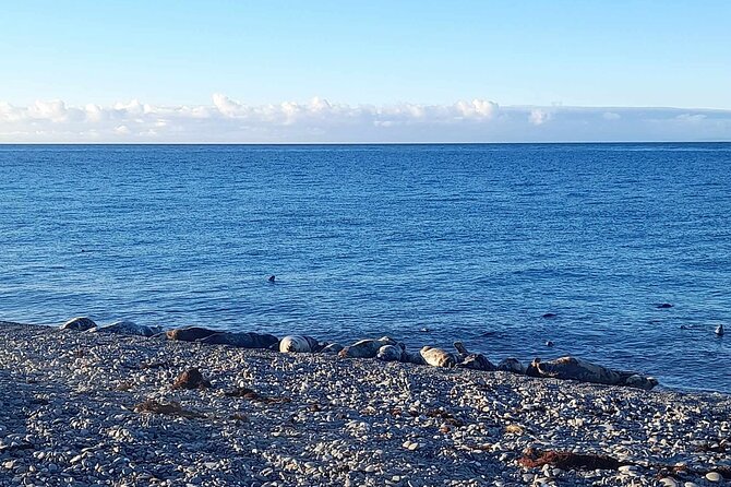 Isle of Man Wildlife & Scenic Adventure with Wildlife enthusiast - Langness Peninsula and seasonal birdlife
