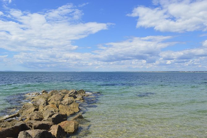 Isle of Wight - Day Tour from Brighton - Group size, comfort, and guide quality