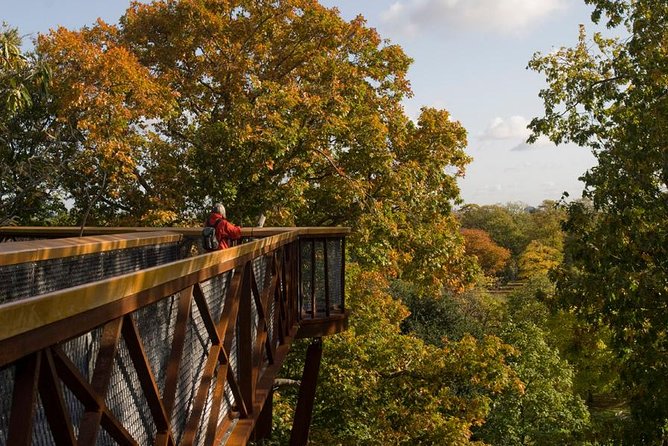 Kew Gardens Entrance Ticket - Key points to know before visiting